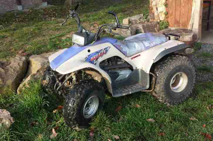 Quad Yamaha Breeze 125 ccm mit Lagerschaden