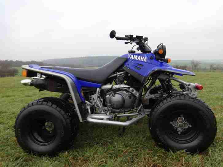 Quad Yamaha Warrior YFM 350 ccm 115km/h 4 Takt Straßenzulassung TÜV 7 / 2015