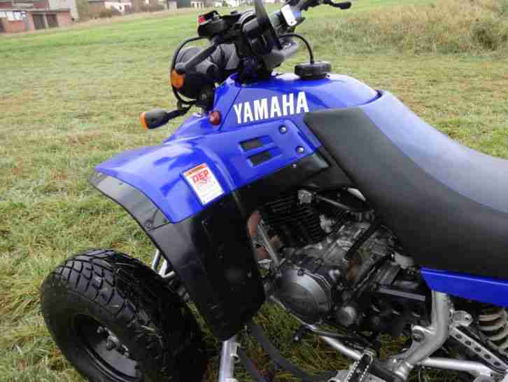 Quad Yamaha Warrior YFM 350 ccm 115km/h 4 Takt Straßenzulassung TÜV 7 / 2015