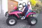 Quad der Marke E Ton Yukon 150