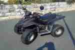 Quad dinli 100cc t rex