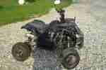 Quad gebraucht plus gleiches Quad als