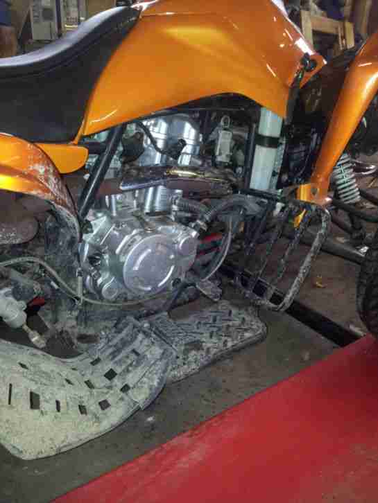 Quad ohne Tüv (mit Papieren)