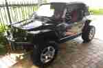 Quadix Buggy Jeep 800 4x2