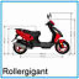 ROLLER 45 km/h 50 ccm 2 Takt- FIGHTER- MOTORROLLER - SCOOTER - MOKICK - MOFA