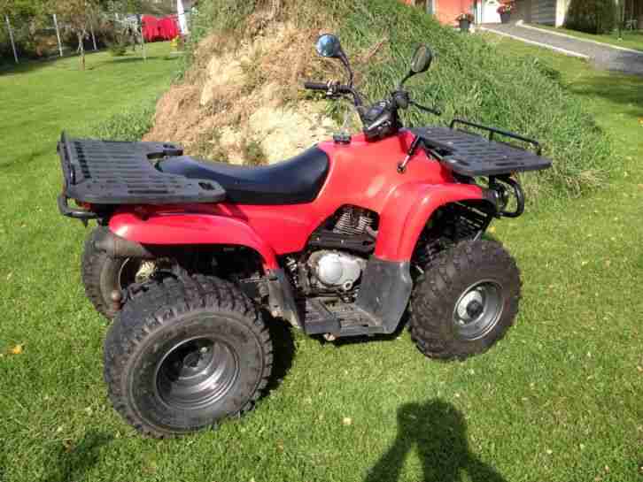 Reinmech 175 Quad MZ Bison Motortek ATV