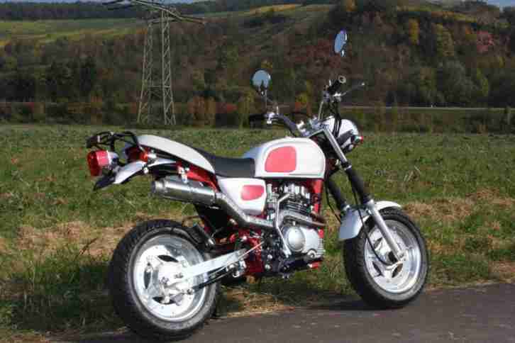 Replika Skyteam ST 125-10 Cobra, Lagerfahrzeug , daher günstig