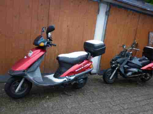 Rex 125 2Stück
