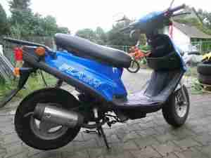 Rex Flash 50