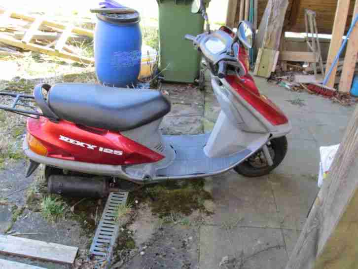 Rex MotorRoller Rexy