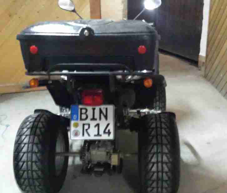 Rex Quad 250ccm