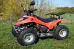 Rex Quad 50 ccm Bj.03 betriebsbereit,