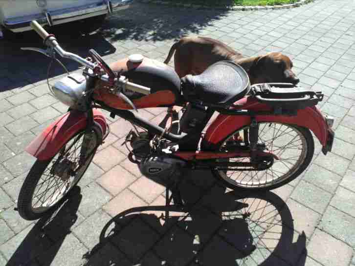 Rex Sportmoped