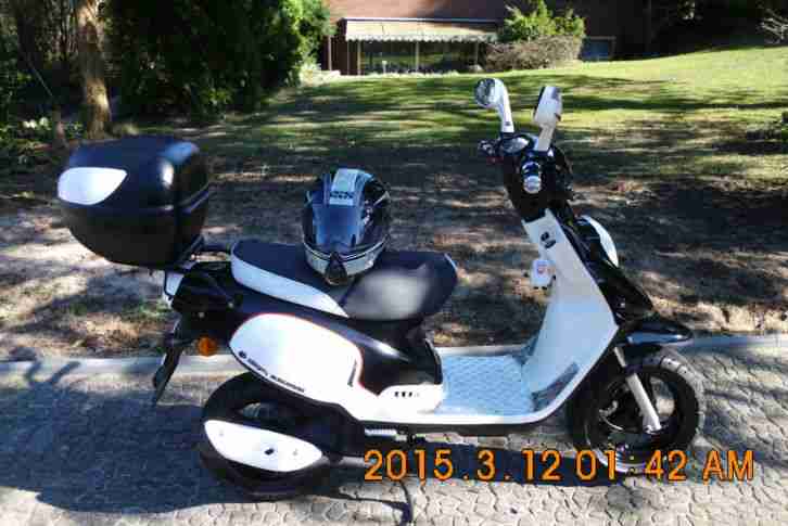 Roller Pegasus sky 50