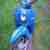 Simson Schwalbe KR51