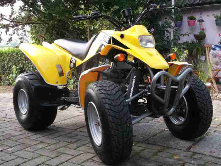 SMC Quad Barossa Cheetah / 2300 km Laufleistung TÜV 09 / 2017