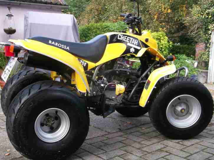 SMC Quad Barossa Cheetah / 2300 km Laufleistung TÜV 09 / 2017