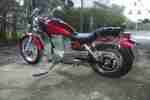 LS 650 Chopper Dampfhammer Bobber