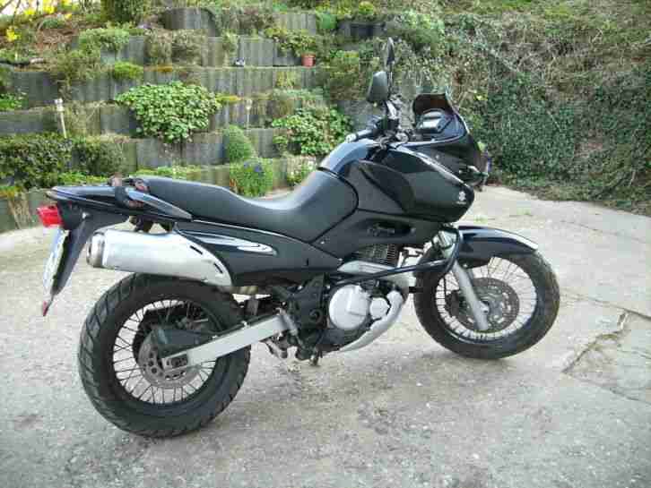 SUZUKI XF650 Free Wind