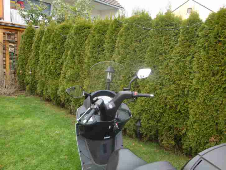 SYM Roller 125 EVO Joyride WIE NEU MIT REST GARANTIE