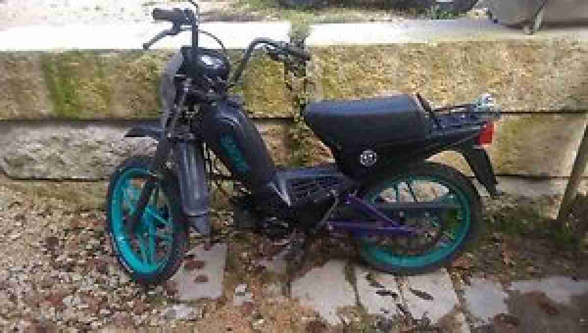 Sachs (Hercules) MX1
