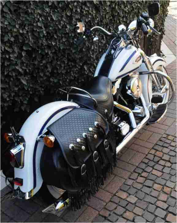 Sagenhafte Harley Davidson FLSTS Softail