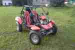 Saiting Buggy 650 F