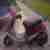 Sanyang Flash Roller