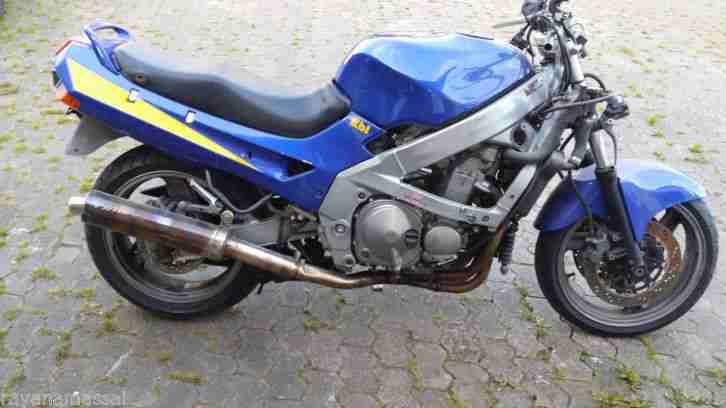 Schlachtfest ZZR 600 D