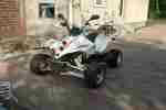 Shineray Quad 250ST 9E