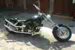 Shovelhead 1981 gepflegter Totalumbau