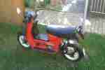 Moped SR 50 1