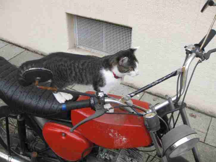 Simson S51N