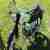 Simson SR4 1