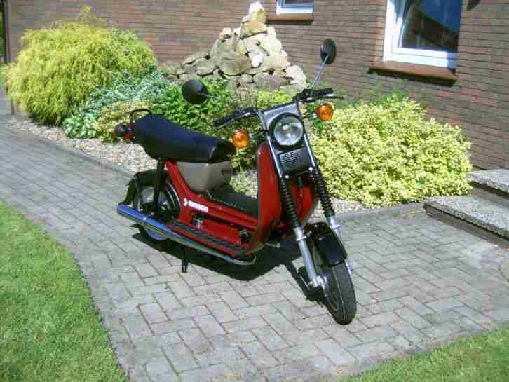 Simson SR50 Neuaufbau