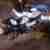Simson Star