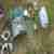 Simson schwalbe kr51