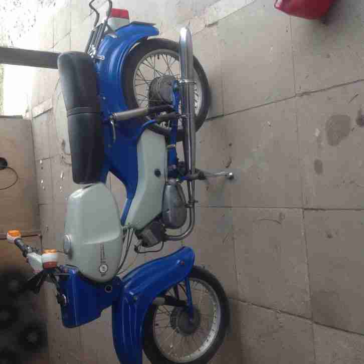 Simson sperber