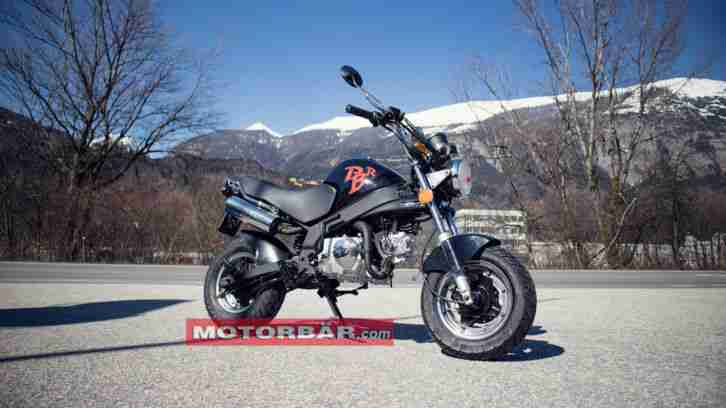 Skyteam PBR 50 Moped Mofa Naked Bike Mokick