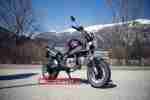 Skyteam PBR 50 Moped Mofa Naked Bike Mokick