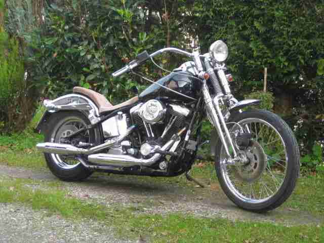 Softail FXST Springer Springersoftail