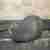 Solositz Sportster Nightster