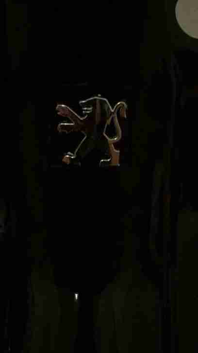 Speedfight 2 Hochglanzinnenraum