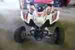 Sport QUAD Cobra 400