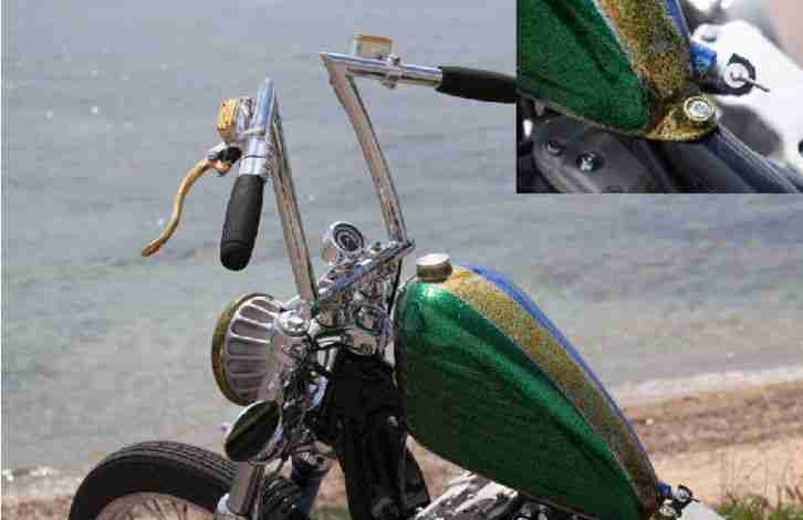 Sportster 883 Hugger CCE BOAR TOP BIKE 2015