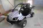 Strand Buggy Kinroad Quad