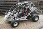 Strandbuggy PGO BR 200