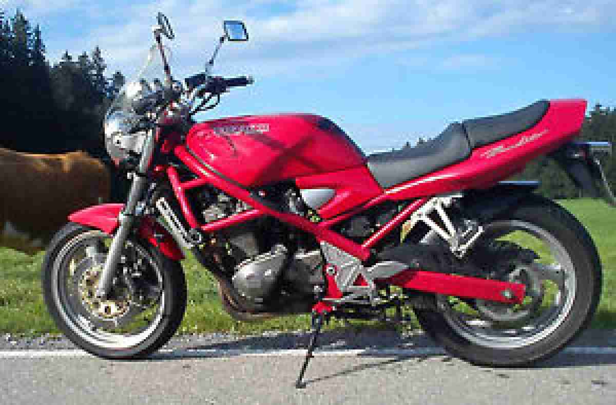 Suzuki Bandit 400 tiefergelegt