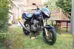 Bandit 600, 28tKm, HU Neu