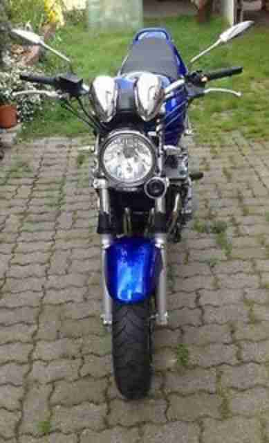Suzuki Bandit GSF 600 vieles Neu in Blau 2003 Naked Bike TÜV 04/17 Blau